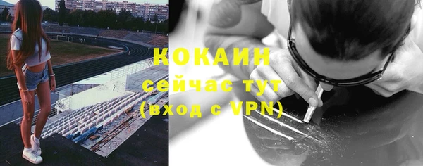 хмурый Верея