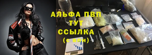 дмт Богородицк