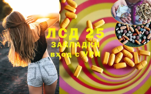 хмурый Верея