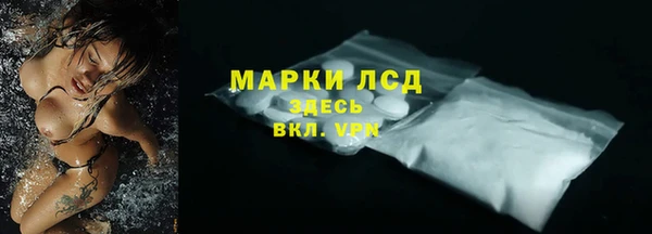 дурь Бородино