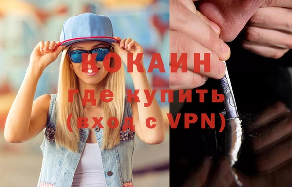 хмурый Верея