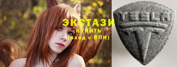 хмурый Верея