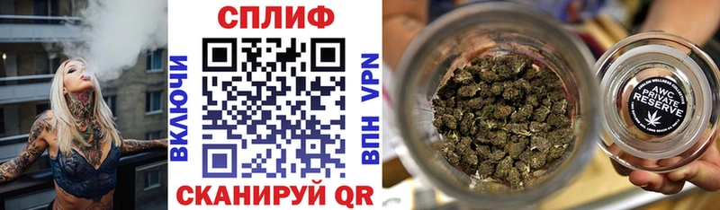 МАРИХУАНА сатива Карабулак